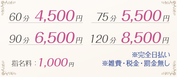 お給料例
